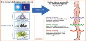 Guide sommeil