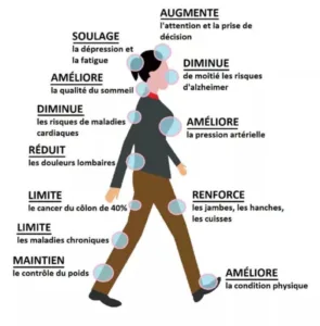 bienfaits de la marche