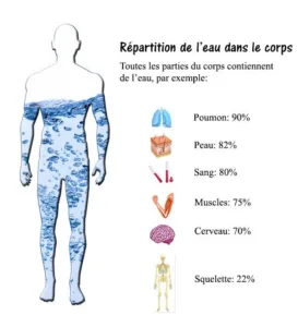 combien d'eau par jour, signes de déshydratation, couleur des urines