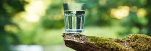 pourquoi boire de l'eau