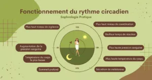rythme circadien